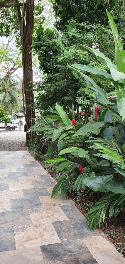 Tucan Hotel Увита Екстериор снимка