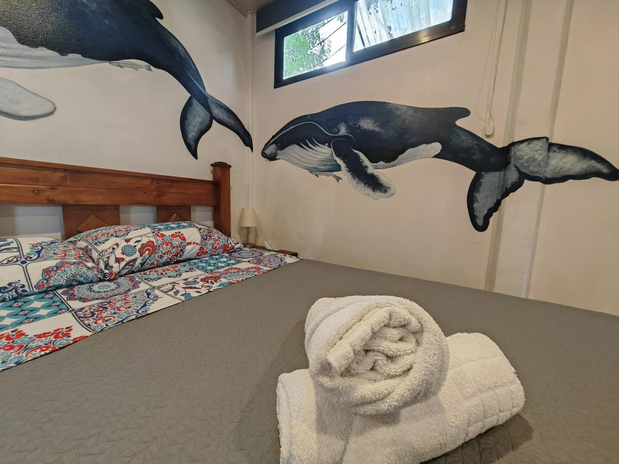 Tucan Hotel Увита Стая снимка