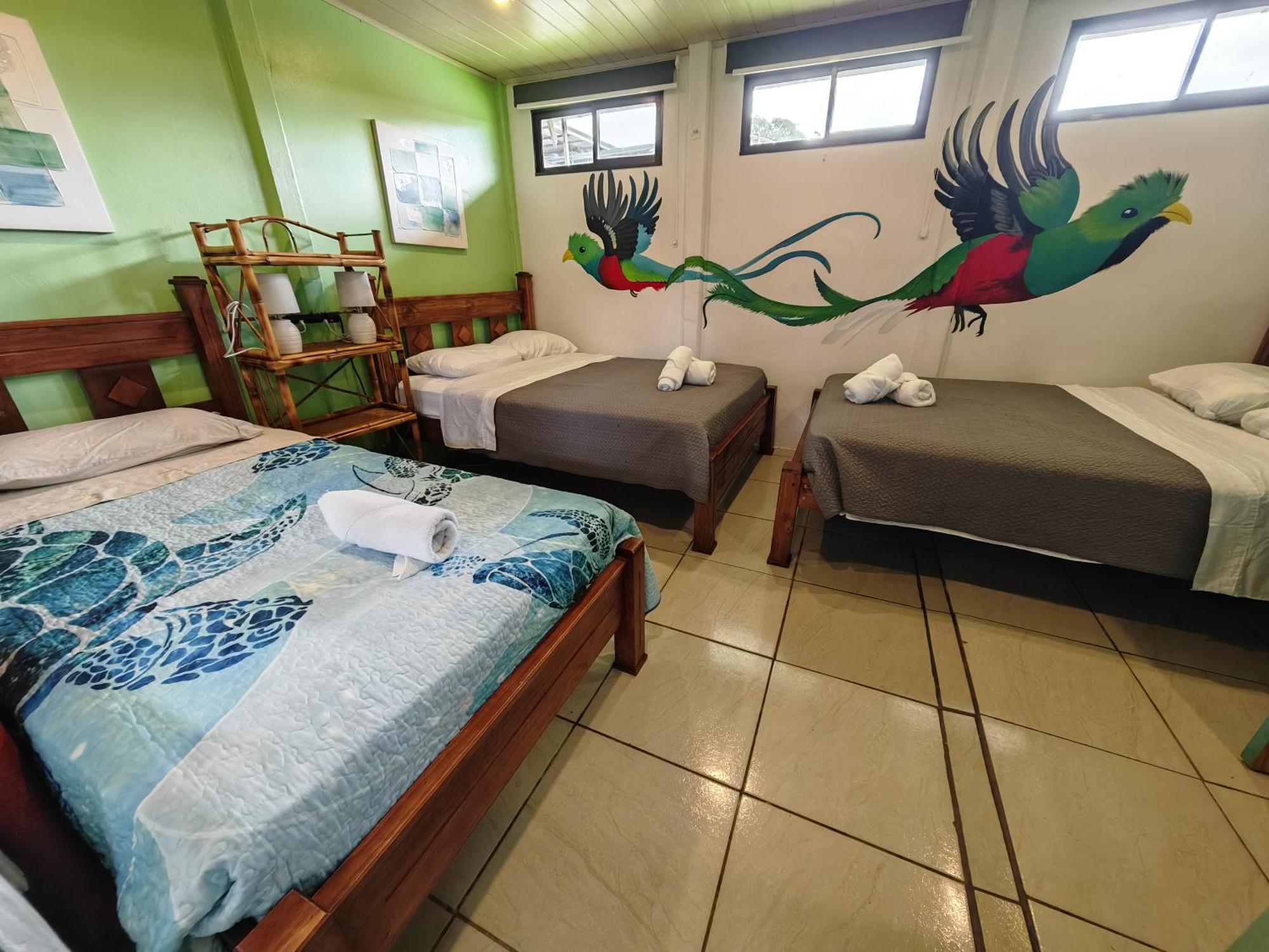 Tucan Hotel Увита Стая снимка