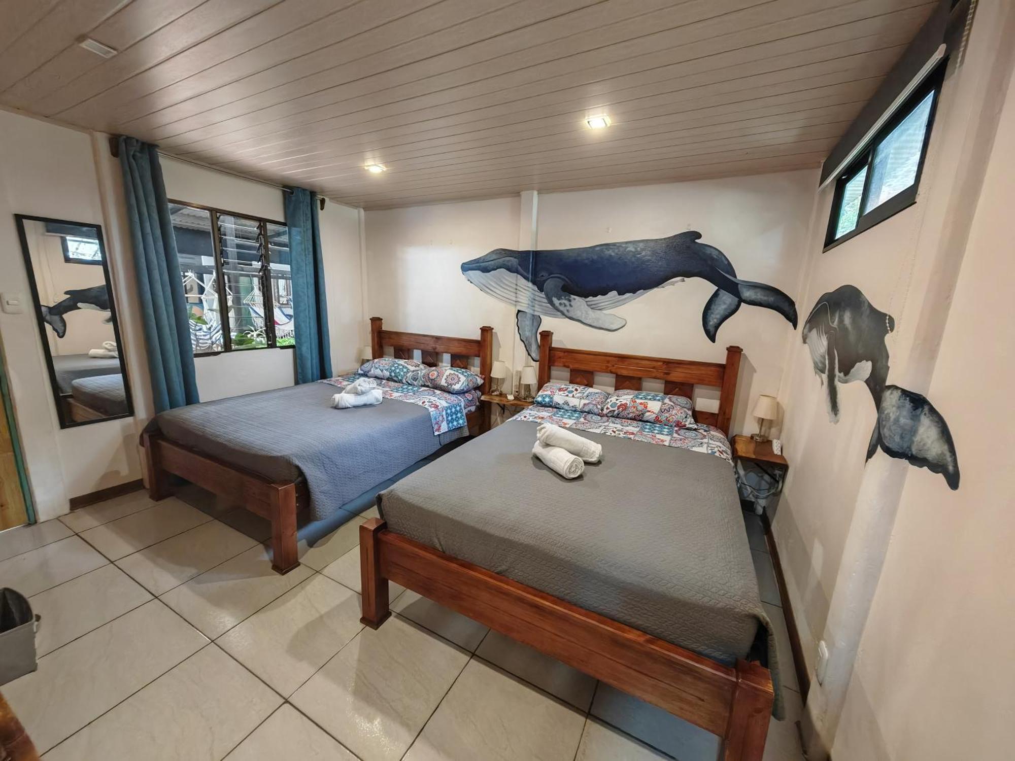 Tucan Hotel Увита Стая снимка