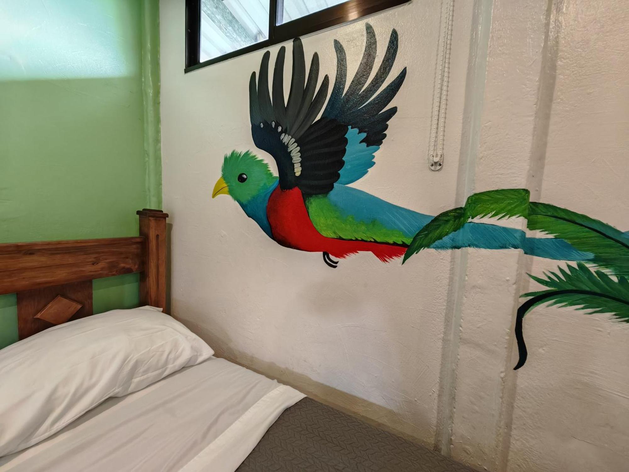 Tucan Hotel Увита Стая снимка