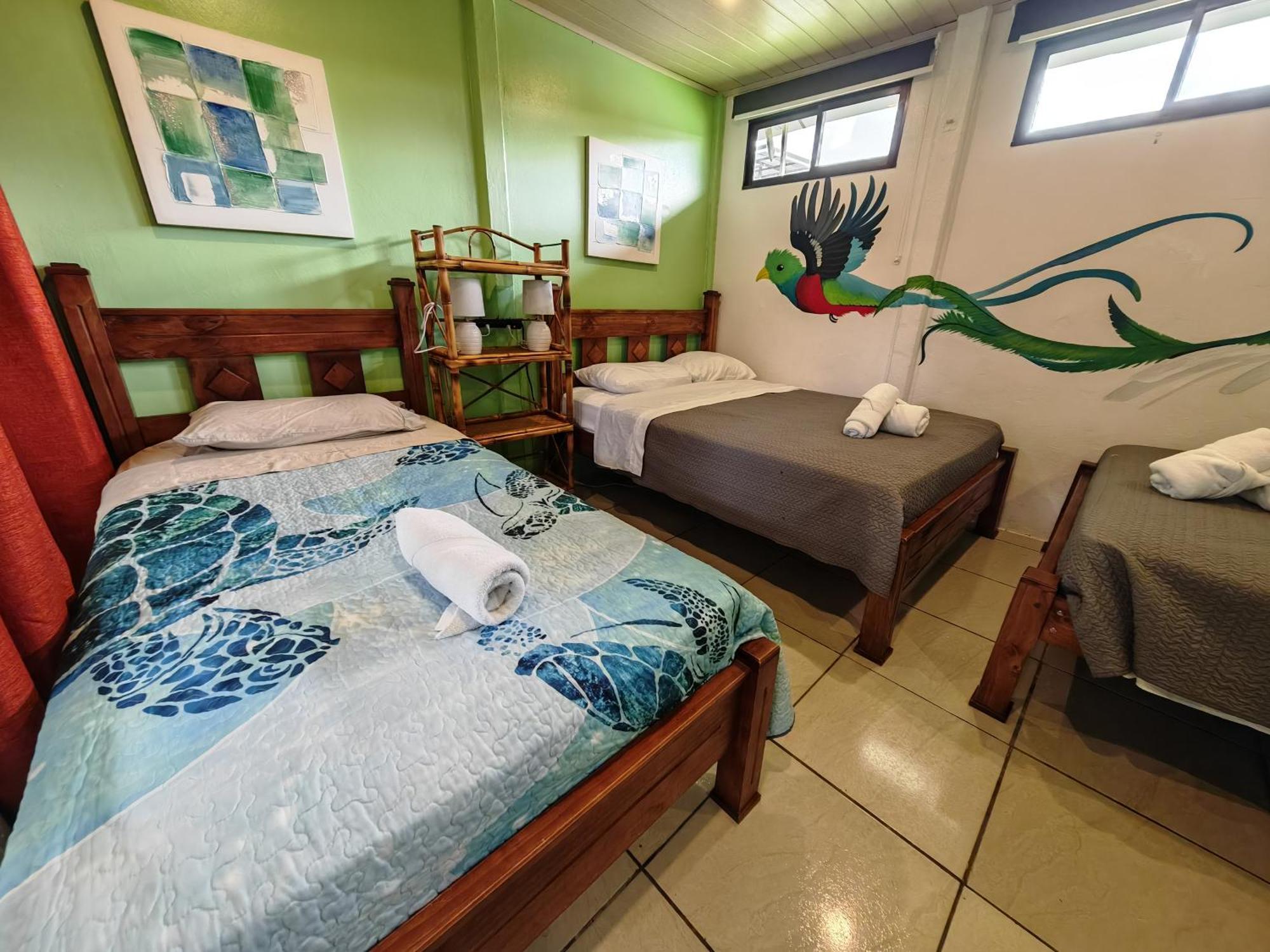 Tucan Hotel Увита Стая снимка