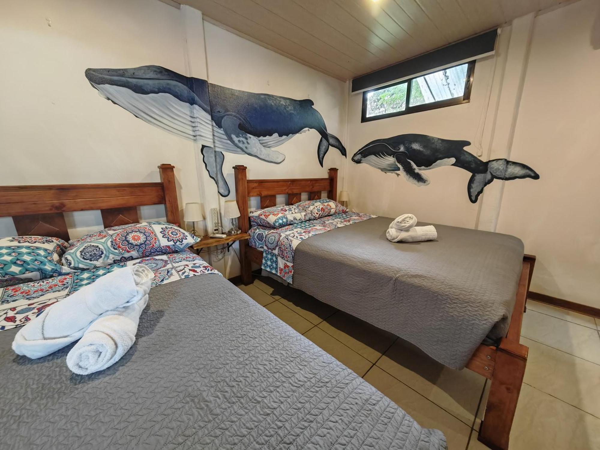 Tucan Hotel Увита Стая снимка